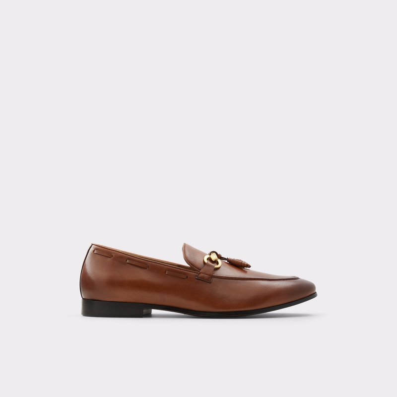 Aldo Stokhid Loafers Herre Brune | 048513STW