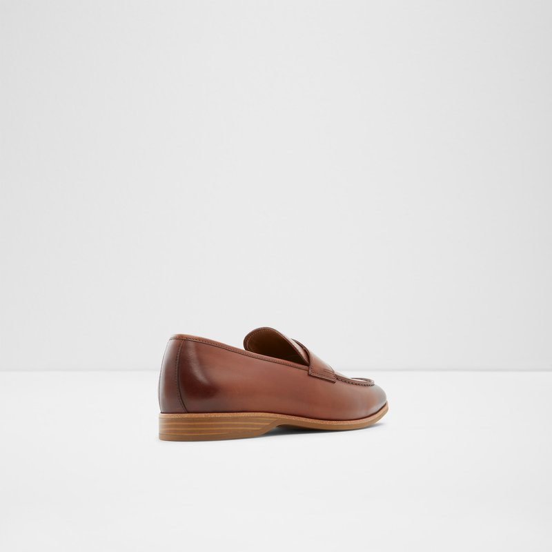 Aldo Byron Loafers Herre Brune | 750643ASY