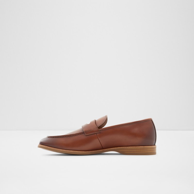 Aldo Byron Loafers Herre Brune | 750643ASY