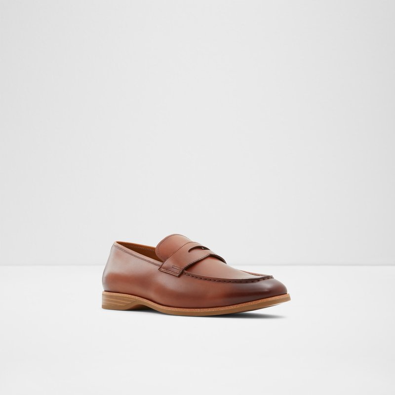 Aldo Byron Loafers Herre Brune | 750643ASY