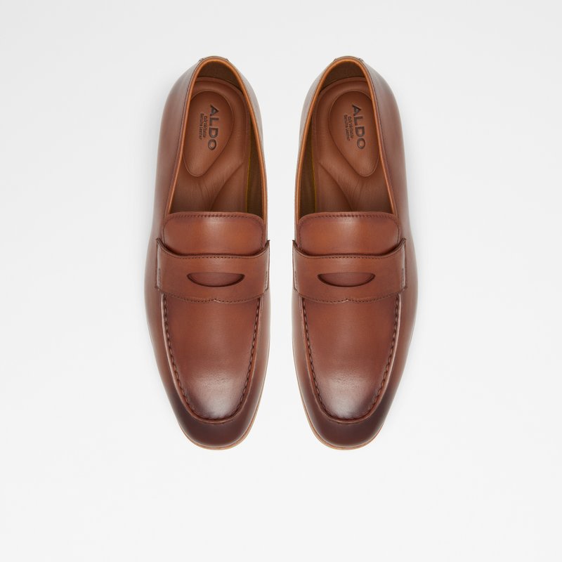 Aldo Byron Loafers Herre Brune | 750643ASY