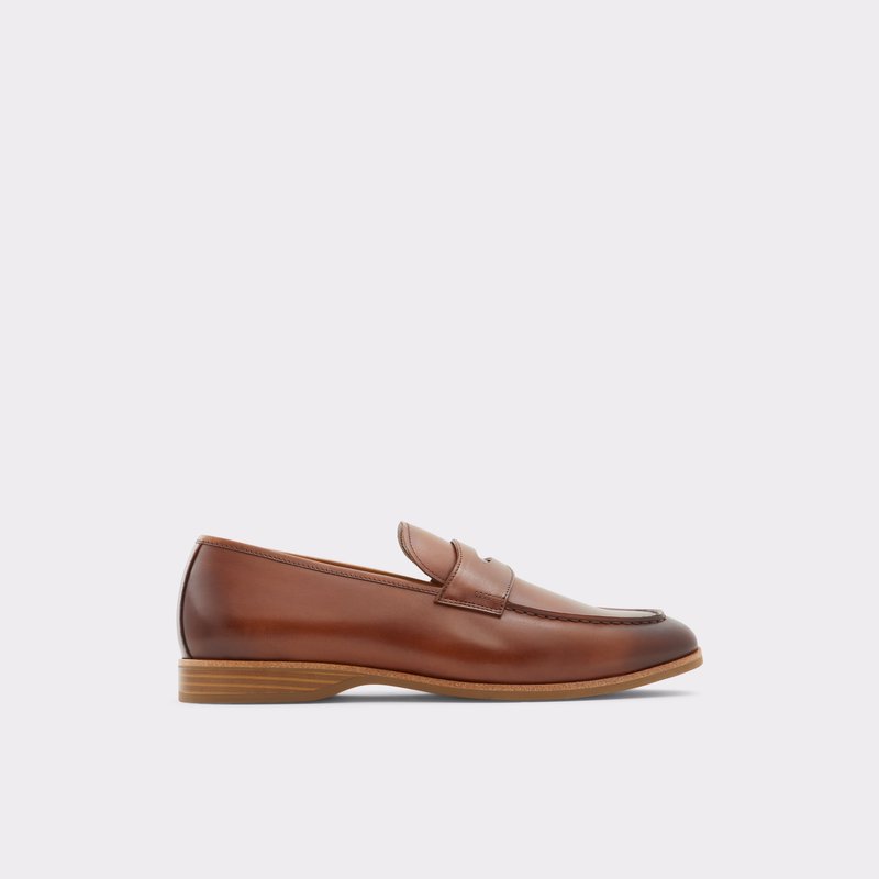 Aldo Byron Loafers Herre Brune | 750643ASY