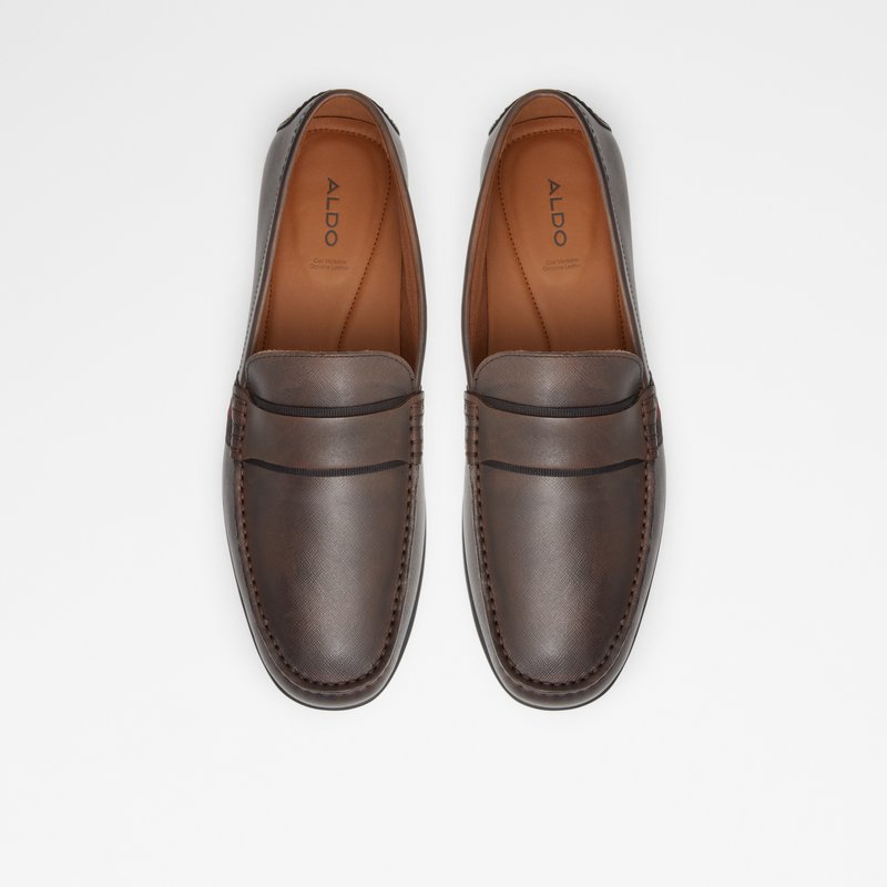 Aldo Damianflex-w Loafers Herre Brune | 068253GPV