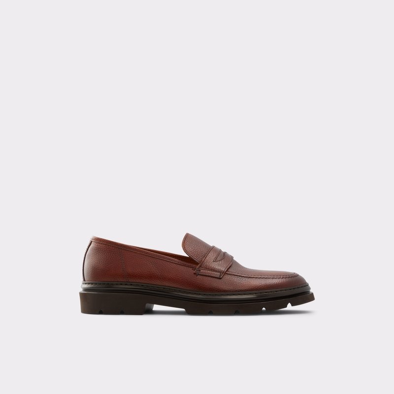 Aldo Droarien Loafers Herre Brune | 325619PZA