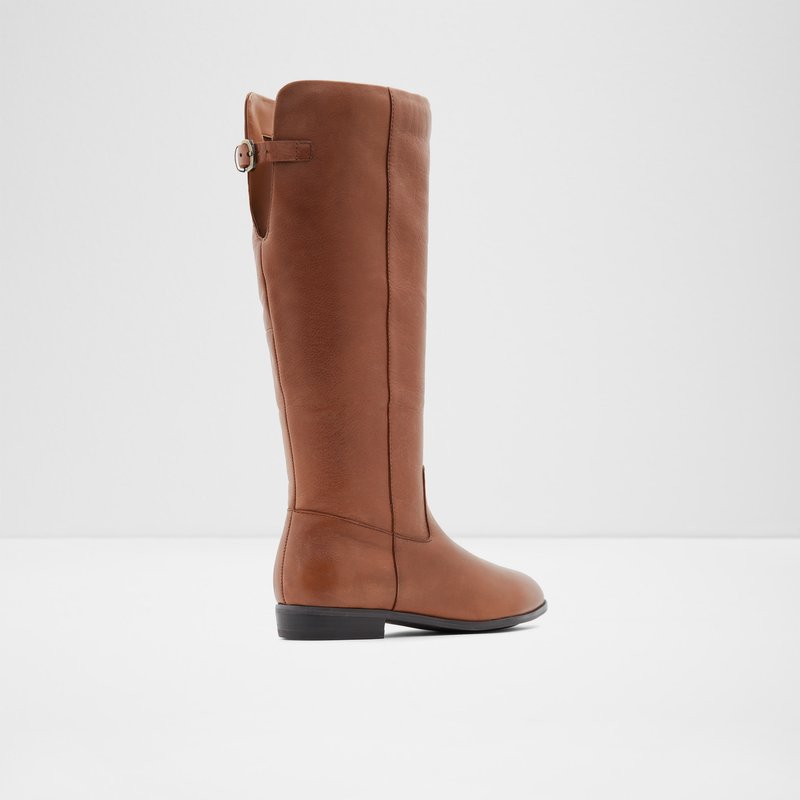 Aldo Keesha-wwc Knee High Boots Dame Brune | 389146SDV