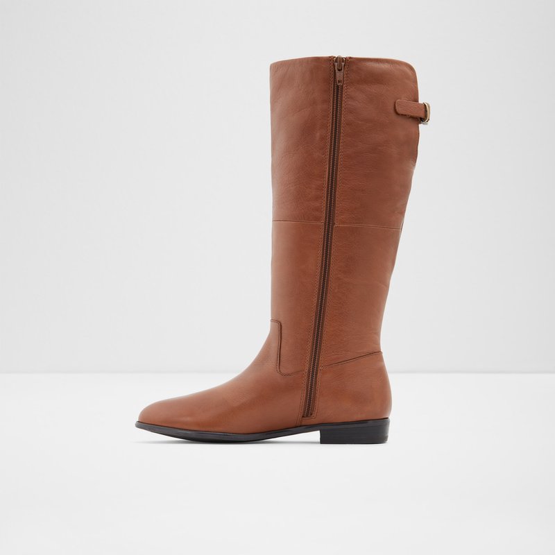 Aldo Keesha-wwc Knee High Boots Dame Brune | 389146SDV