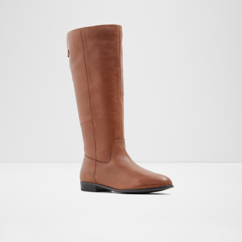 Aldo Keesha-wwc Knee High Boots Dame Brune | 389146SDV