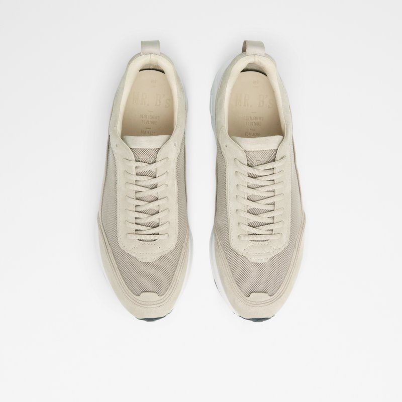 Aldo Mirirathien Low Sneakers Herre Grå | 947216YXT