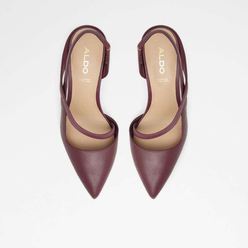 Aldo Noideaa Pumps Dame Brune | 249071PLR