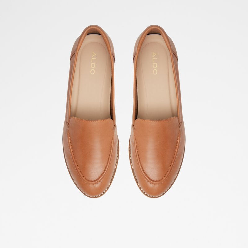 Aldo Rheildanflex Loafers Dame Brune | 634902FPY