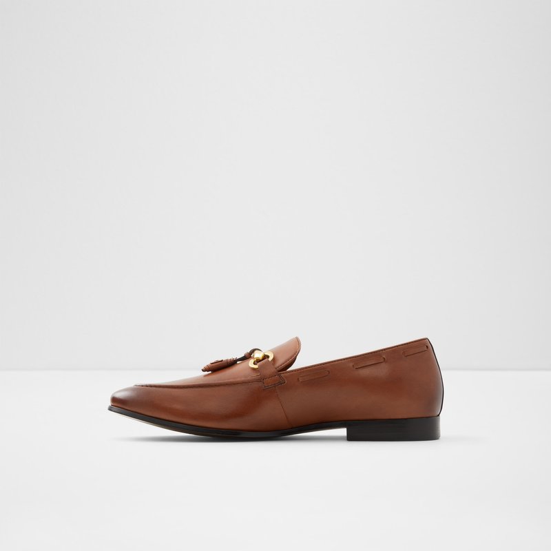 Aldo Stokhid Loafers Herre Brune | 048513STW