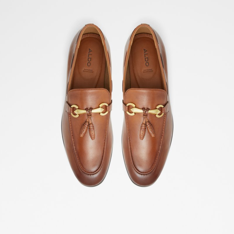 Aldo Stokhid Loafers Herre Brune | 048513STW