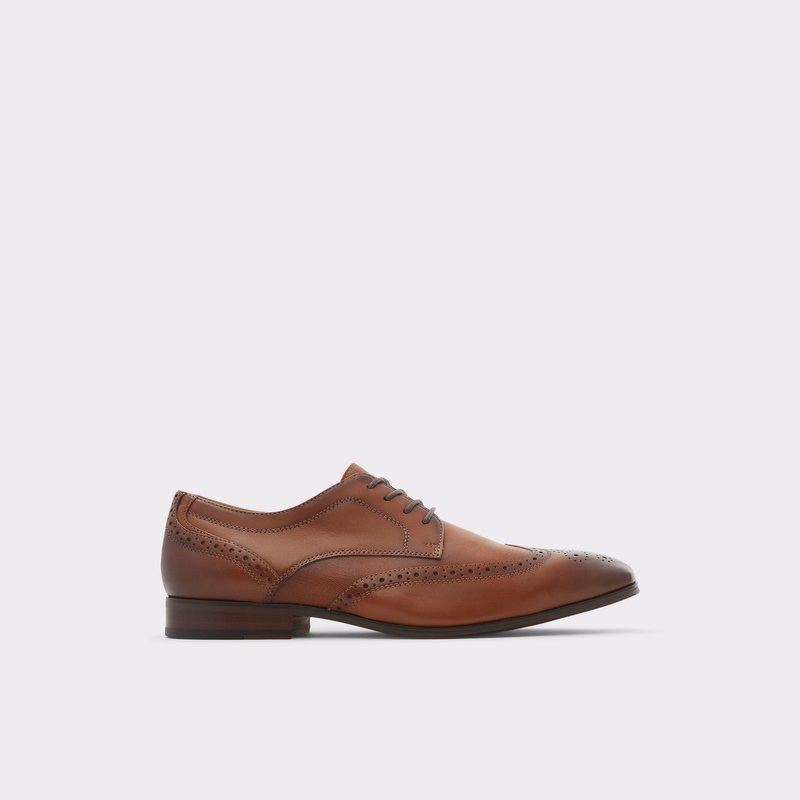 Aldo Thiasien Business Sko Herre Brune | 489530UIE