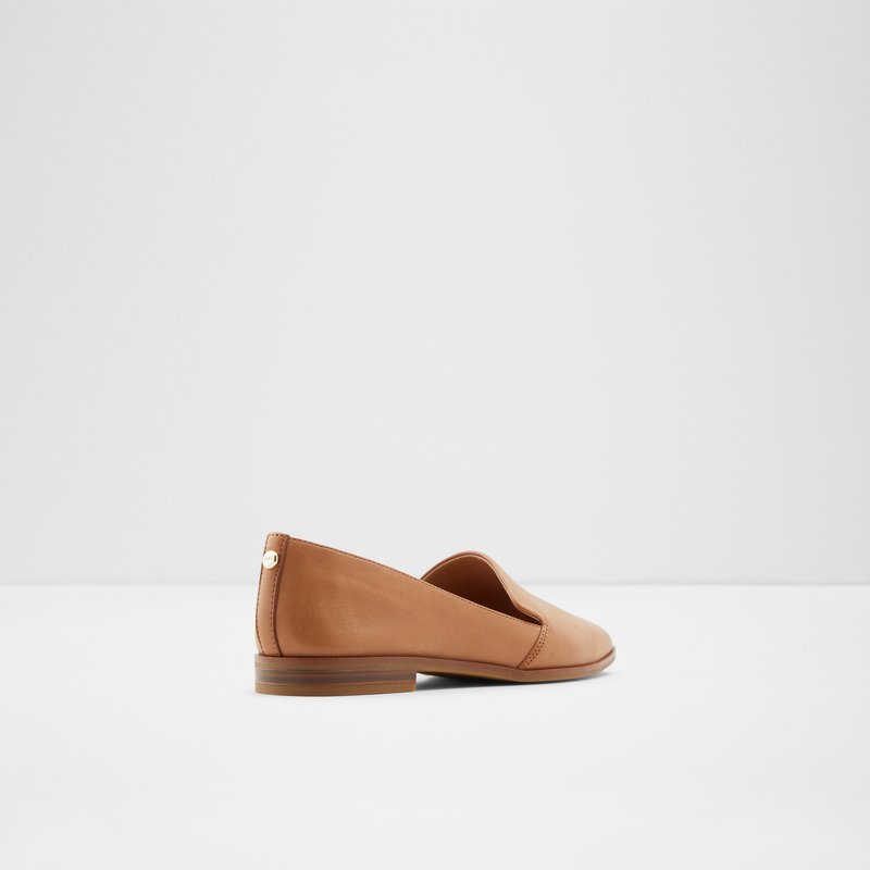 Aldo Veadith Ballerinas Dame Brune | 328647SAX