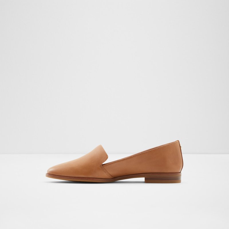 Aldo Veadith Ballerinas Dame Brune | 328647SAX