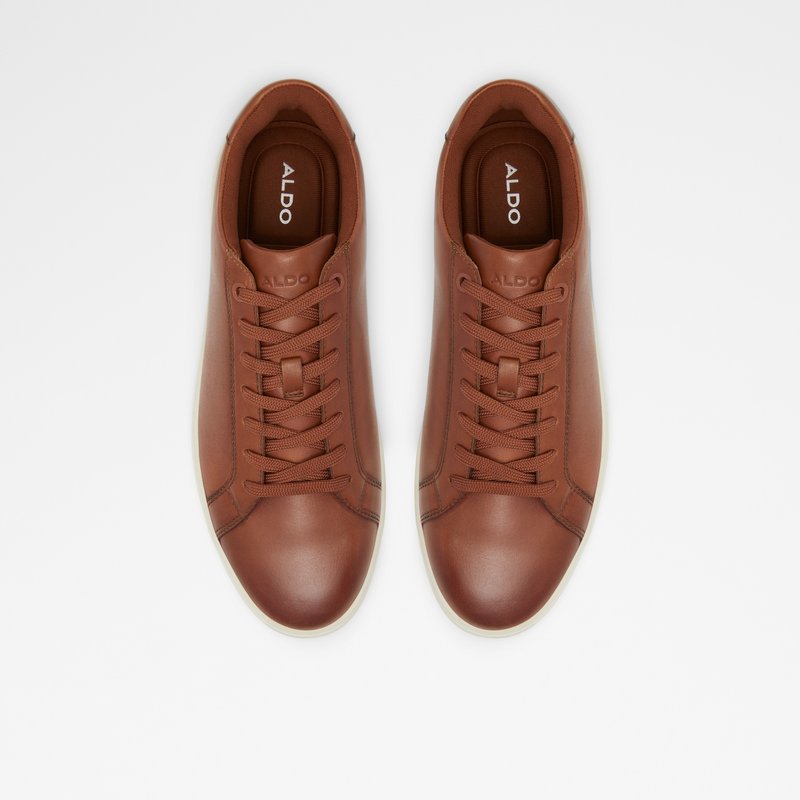 Aldo Wiresien Low Sneakers Herre Brune | 245301KLI